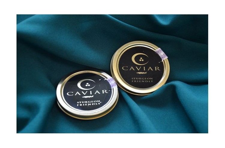1000x1000-1475137900-kaviar