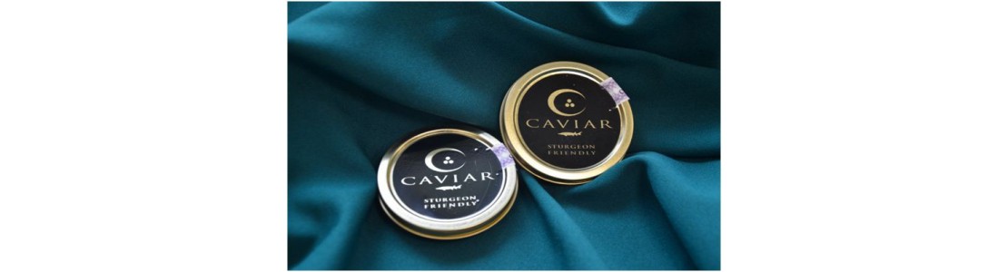 1000x1000-1475137900-kaviar