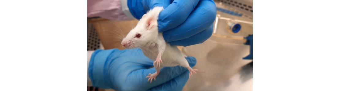 Výzkum léčiva, které pomůže v boji s nádorovými onemocněními, dostává nový impuls