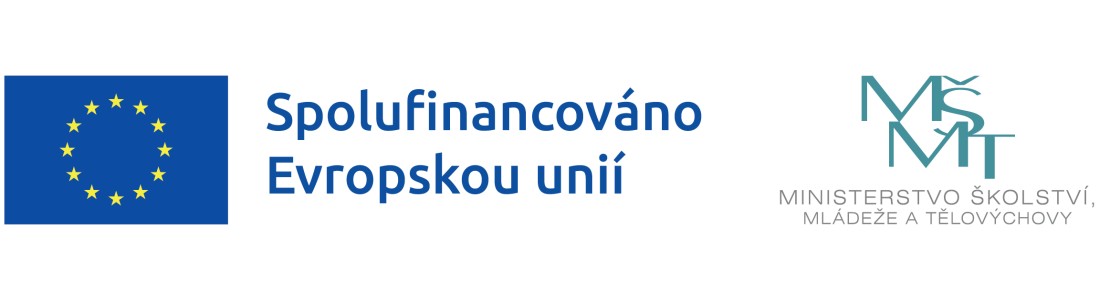 CÍLE A AKTIVITY PROJEKTU