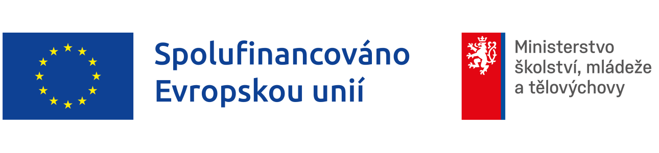 CÍLE A AKTIVITY PROJEKTU